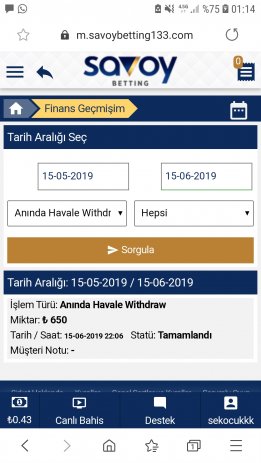 Screenshot_20190616-011429_Samsung Internet.jpg