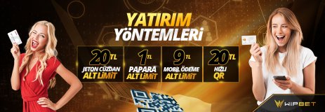 wip-tüm-yatırtım.jpg wip-tüm-yatırtım.jpg