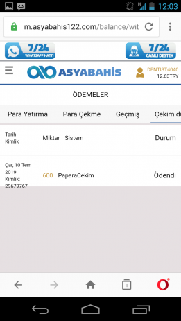 Screenshot_2019-07-11-00-03-48.png