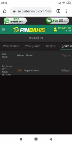 Screenshot_2019-11-24-22-58-06-650_com.android.chrome.jpg