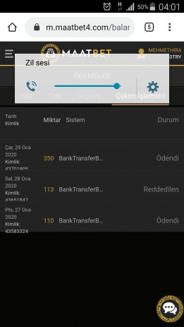 Screenshot_2020-01-29-04-01-20.jpg