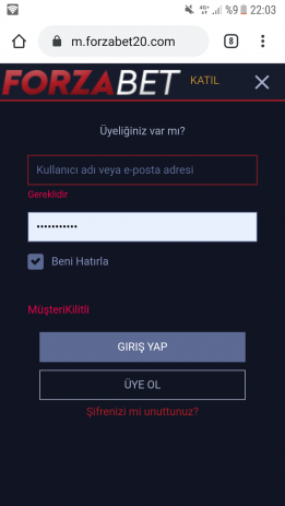 Screenshot_20200128-220318.png