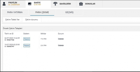 çek1.png
