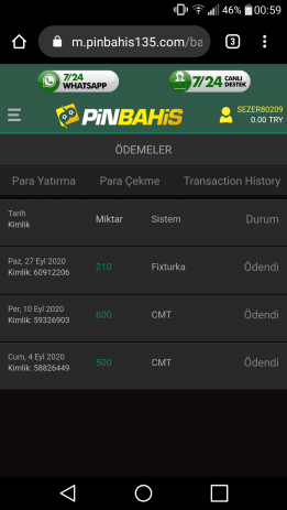 Screenshot_2020-09-28-00-59-32.png