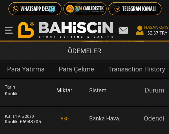 BAHİSCİN22.png