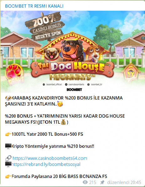 asdsadadsa.png