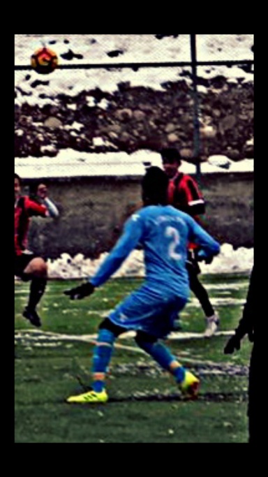 Demir2461