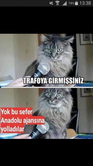 Halilbirdi
