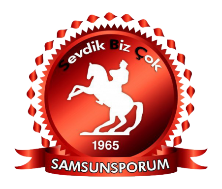 hmzsr