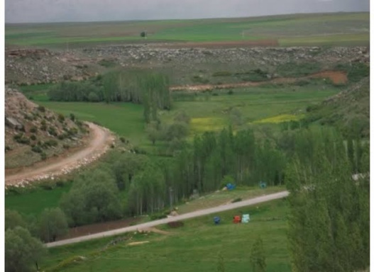 sanameterio