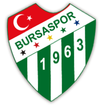 alibayrak11