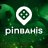 PİNBAHİS DESTEK
