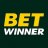 BetWinner DESTEK