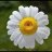 Musti2322